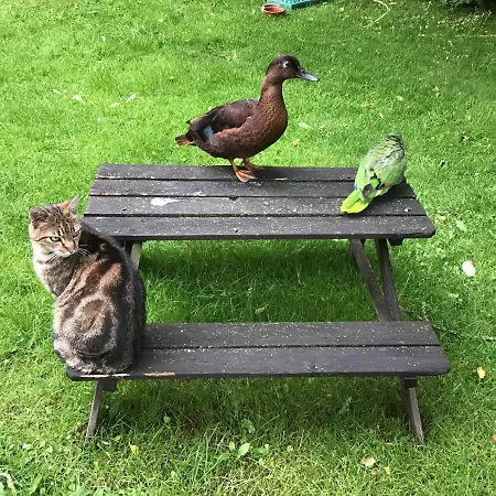 Spitzweg, - Lueneburger Heide Apartment