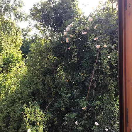 דירה Spitzweg, - Lueneburger Heide *