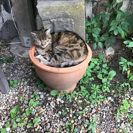 Apartment Spitzweg, - Lueneburger Heide