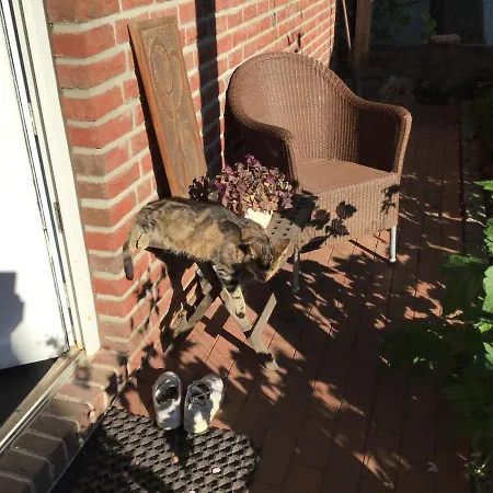 Spitzweg, - Lueneburger Heide