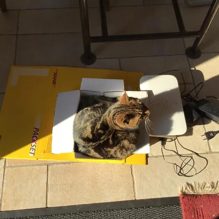 Spitzweg, - Lueneburger Heide דירה