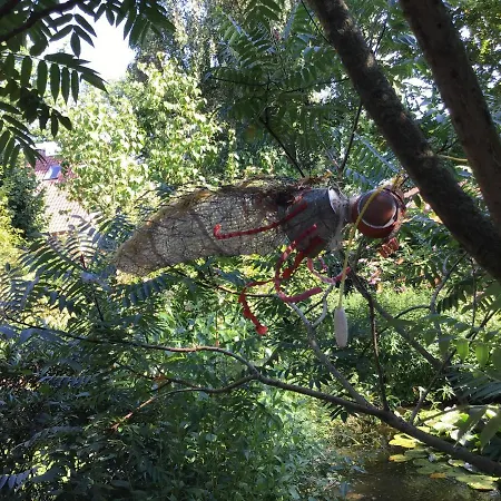 Spitzweg, - Lueneburger Heide * Garlstorf