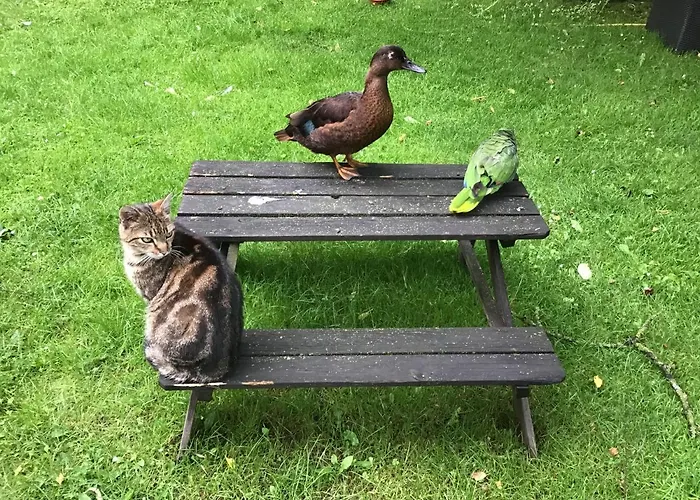 Spitzweg, - Lueneburger Heide 公寓