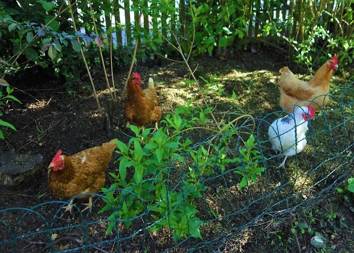 Spitzweg, - Lueneburger Heide Garlstorf