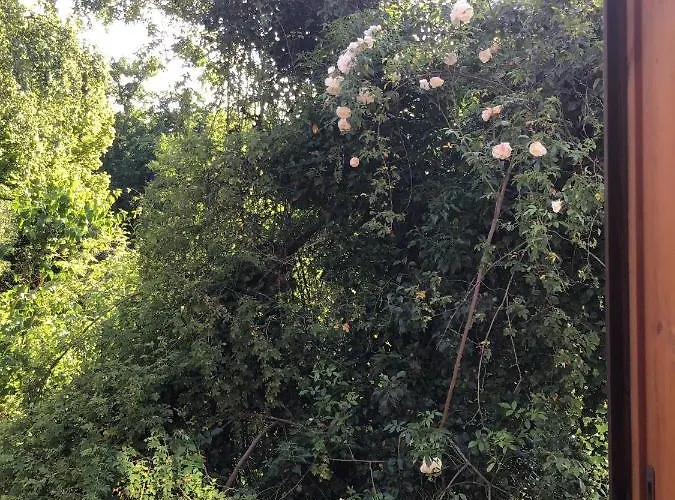 公寓 Spitzweg, - Lueneburger Heide *