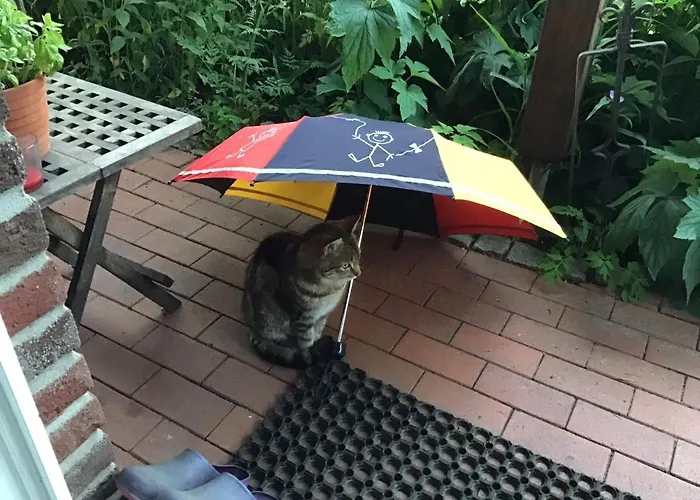 公寓 Spitzweg, - Lueneburger Heide