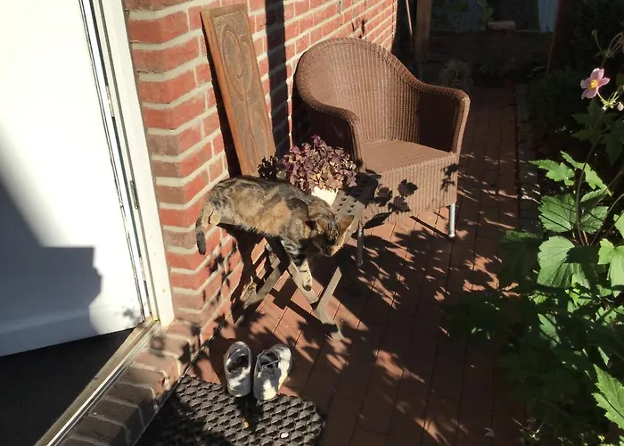 Spitzweg, - Lueneburger Heide