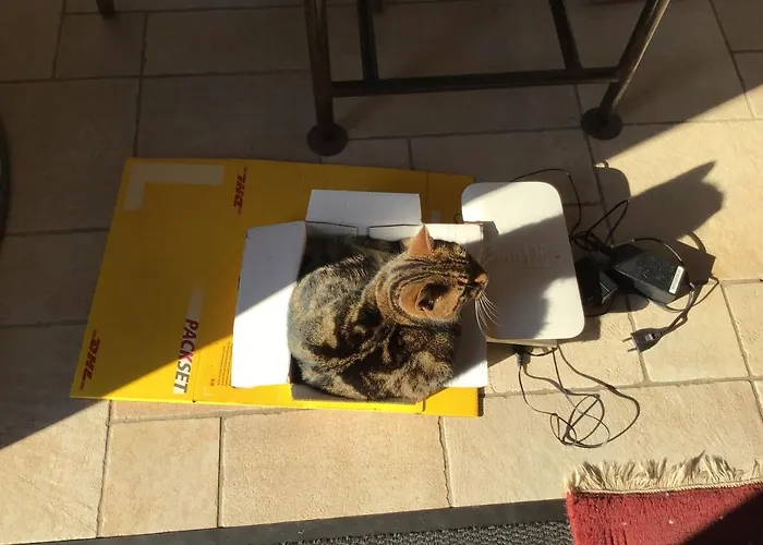 Spitzweg, - Lueneburger Heide 公寓