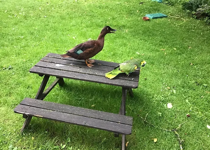 公寓 Spitzweg, - Lueneburger Heide Garlstorf